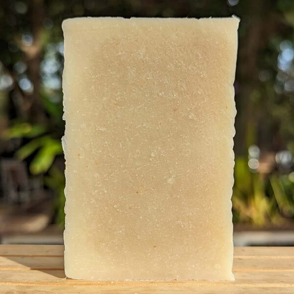 Kauai ginger soap bar - Sweat Buster